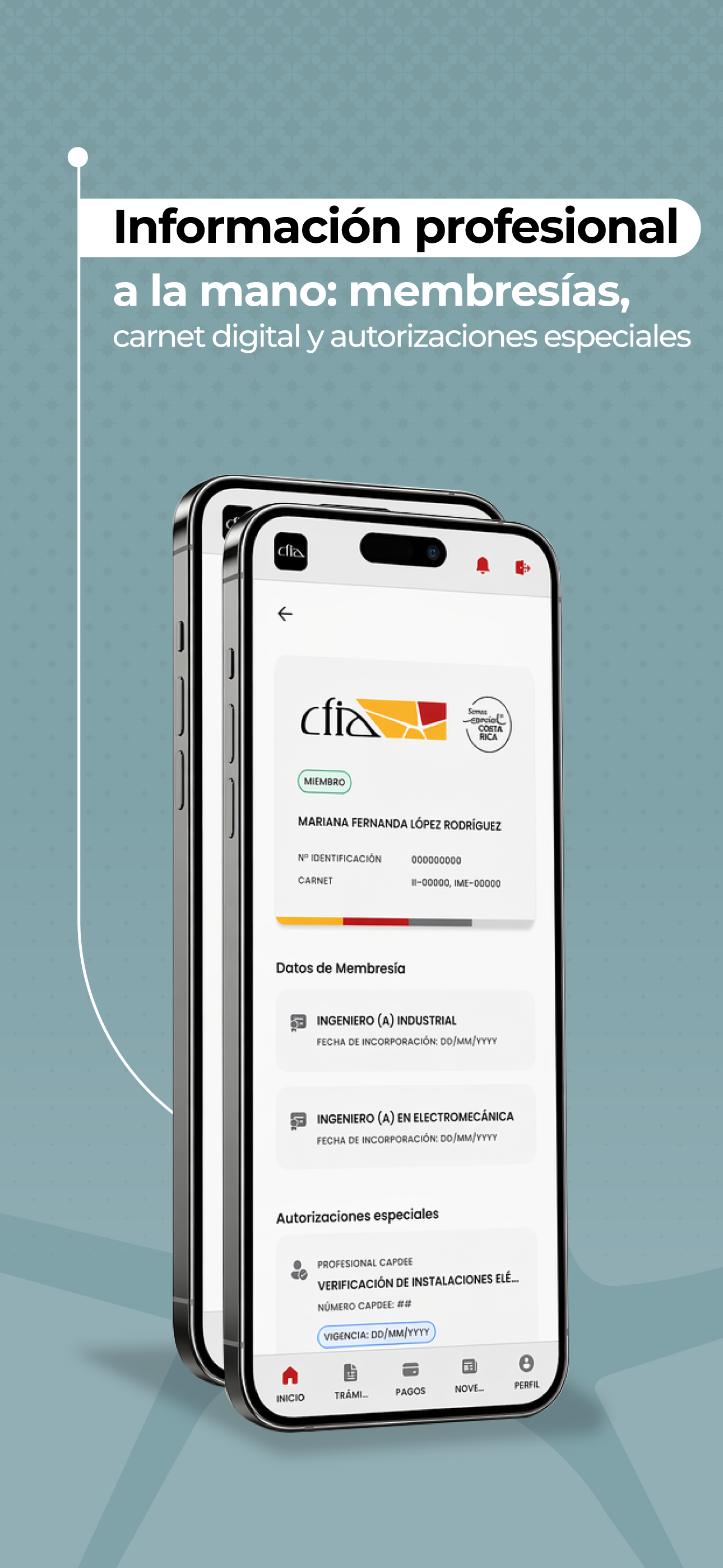 Información profesional